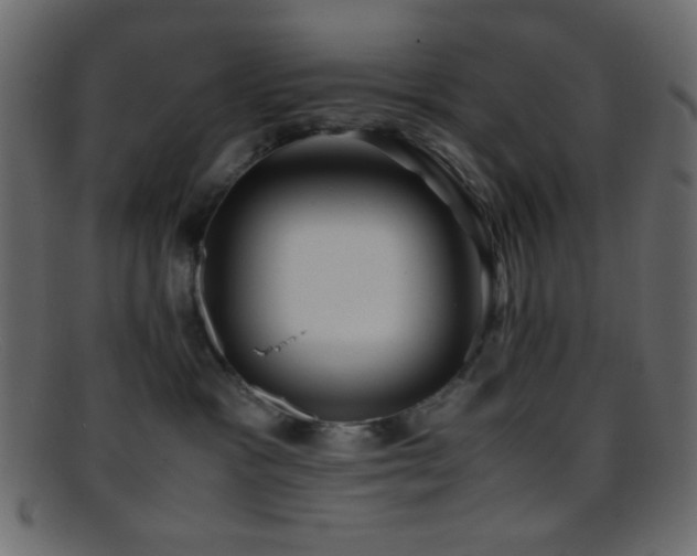 X0000095690333200801081253