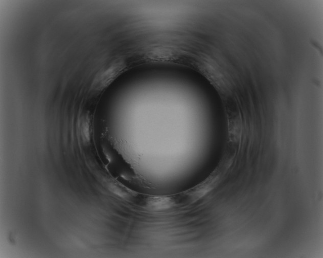 X0000095690334200801081253