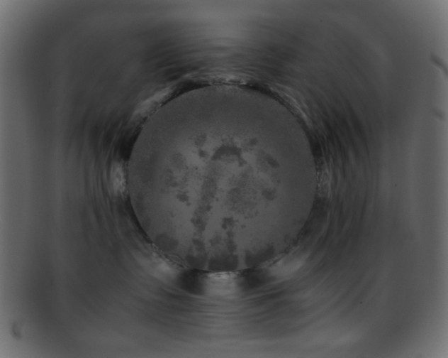 X0000095690335200801081253