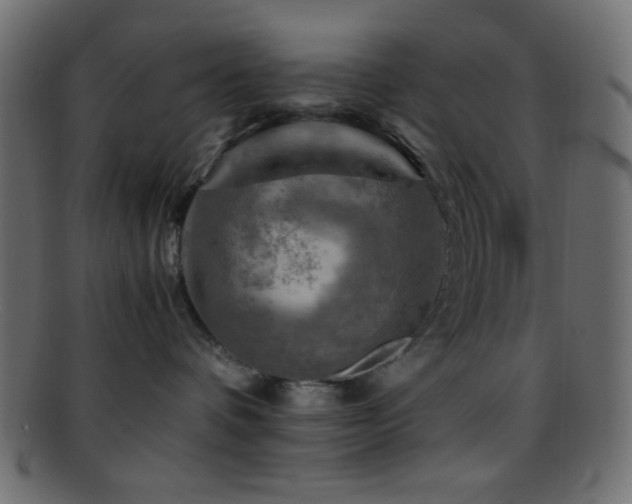 X0000095690336200801081253