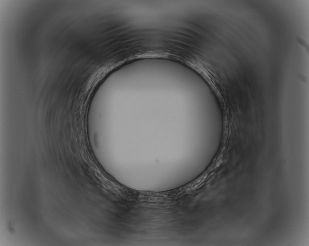 X0000095690337200801081252