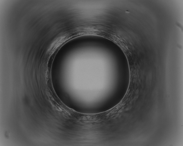 X0000095690338200801081252