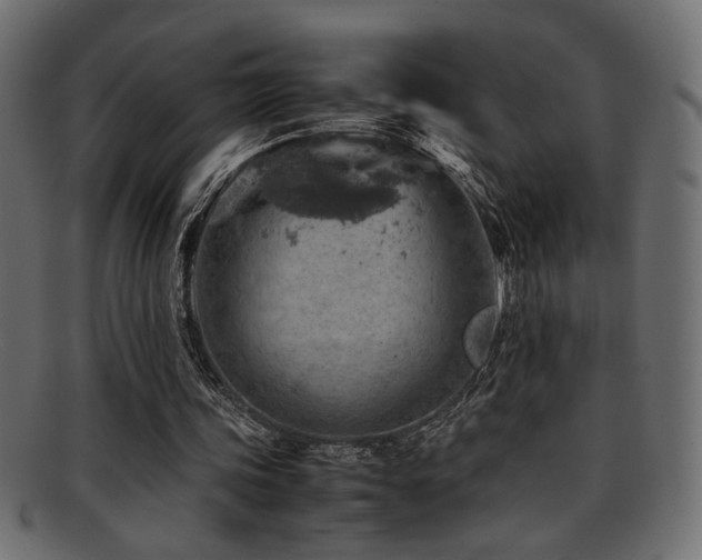 X0000095690339200801081253