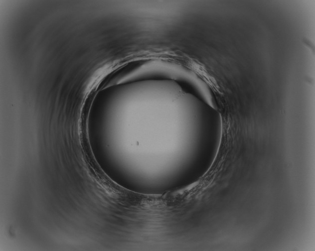 X0000095690340200801081253