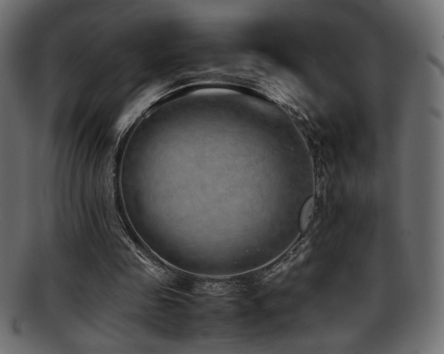 X0000095690341200801081253