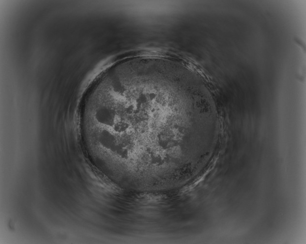 X0000095690343200801081253