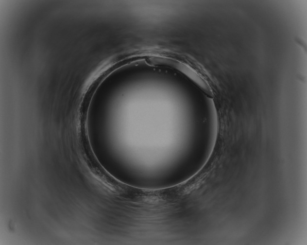 X0000095690344200801081253