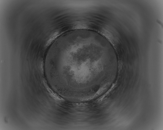 X0000095690345200801081253