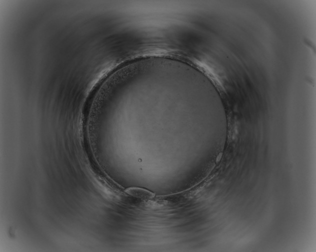 X0000095690346200801081253