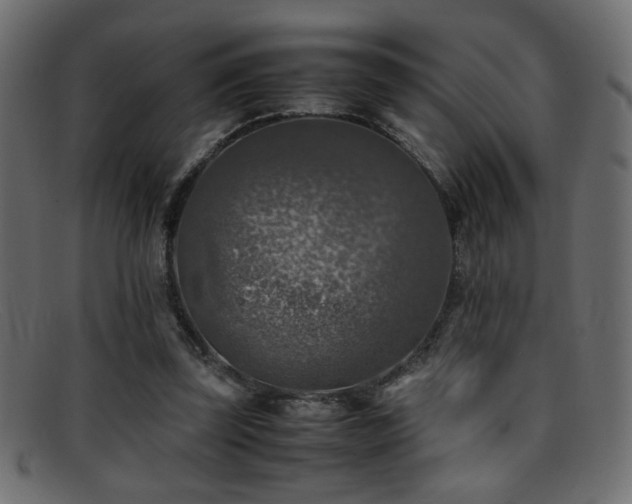X0000095690347200801081253
