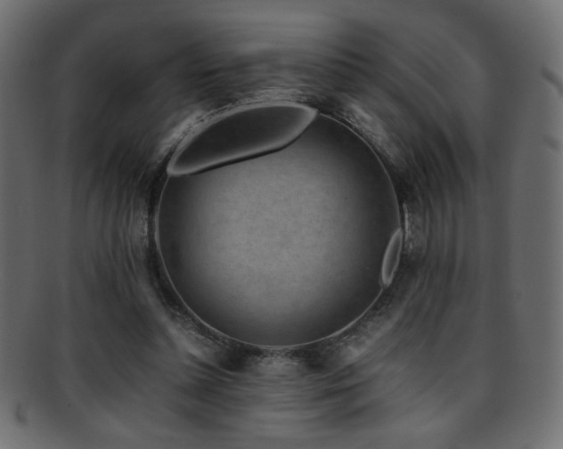 X0000095690348200801081253