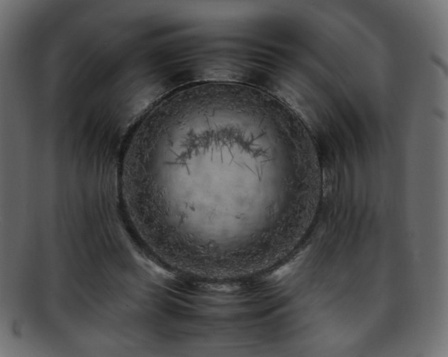 X0000095690349200801081253