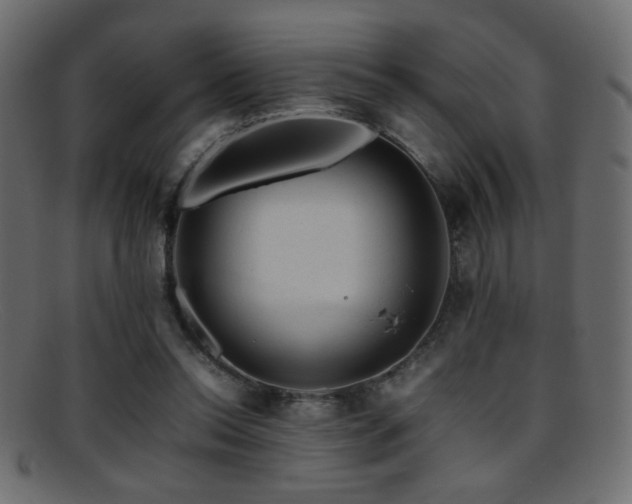 X0000095690350200801081253