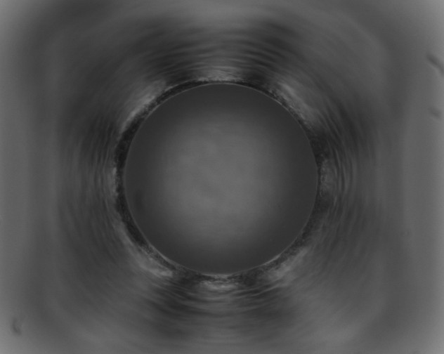 X0000095690351200801081253