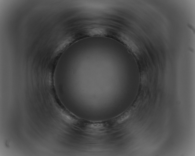 X0000095690353200801081253