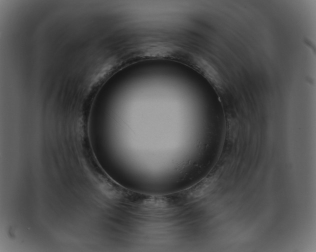 X0000095690354200801081253