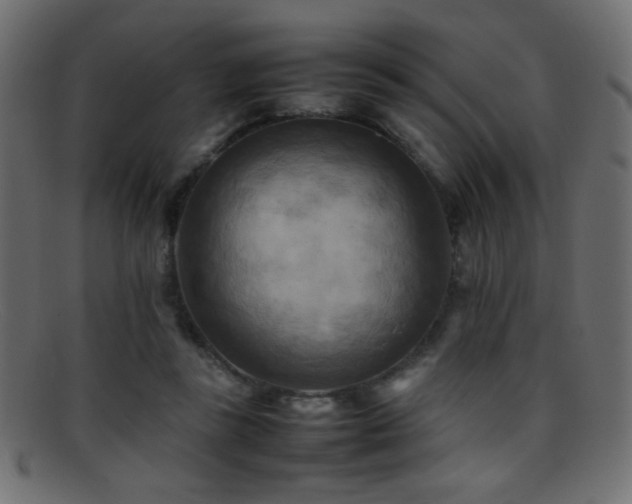 X0000095690355200801081253