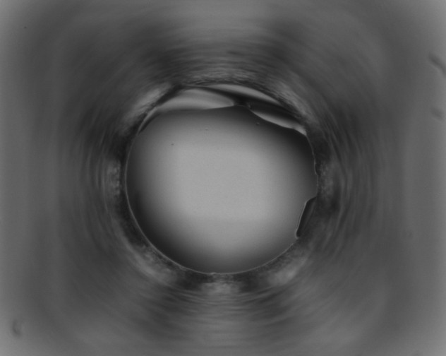 X0000095690356200801081253