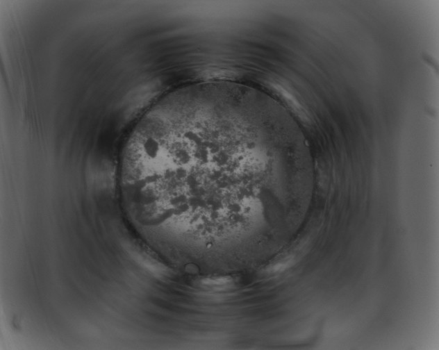 X0000095690357200801081253