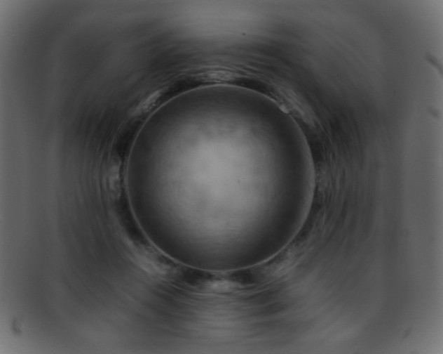 X0000095690360200801081253