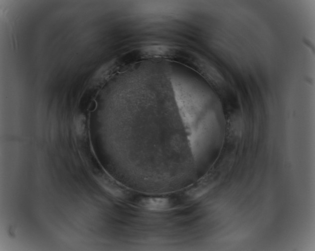 X0000095690361200801081253