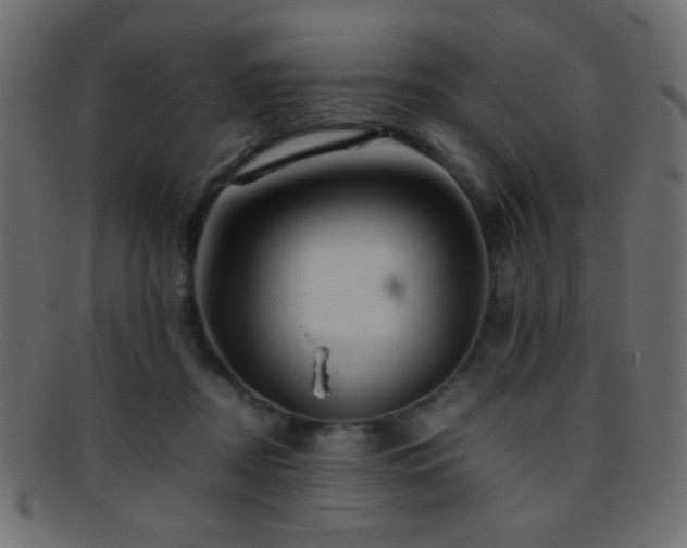 X0000095690362200801081253