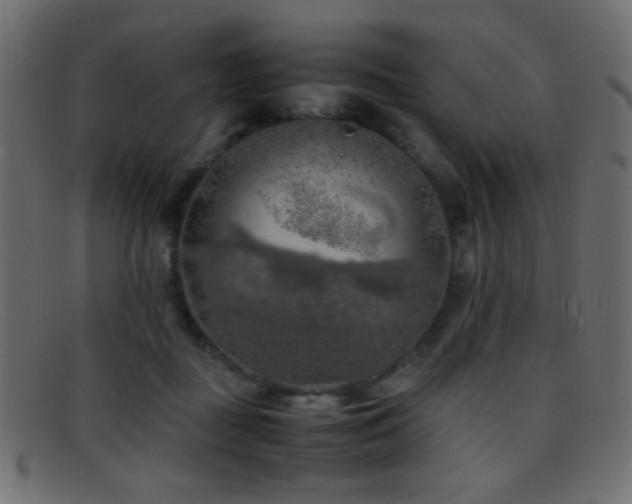 X0000095690363200801081253