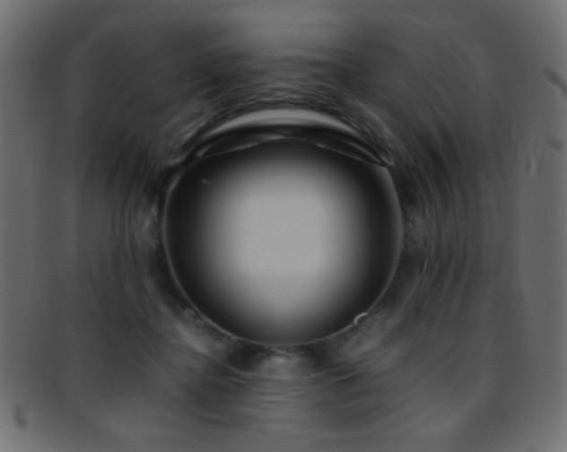 X0000095690364200801081253