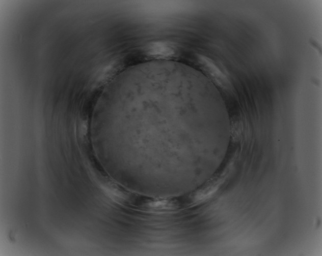 X0000095690365200801081253