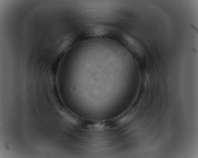 X0000095690366200801081253