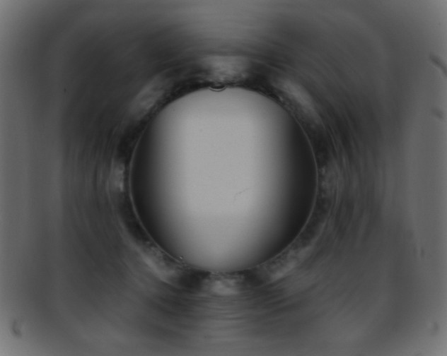 X0000095690368200801081253