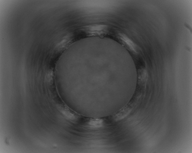 X0000095690369200801081253