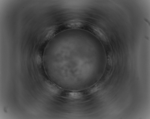 X0000095690371200801081253