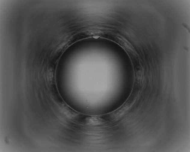 X0000095690372200801081253