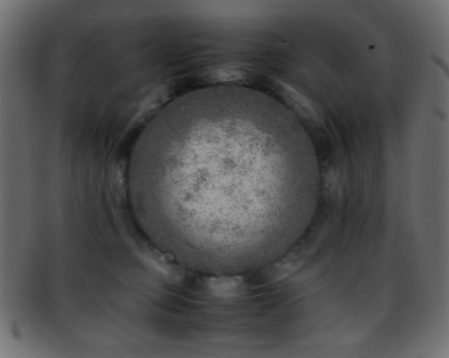 X0000095690373200801081253