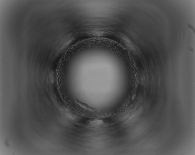 X0000095690374200801081253
