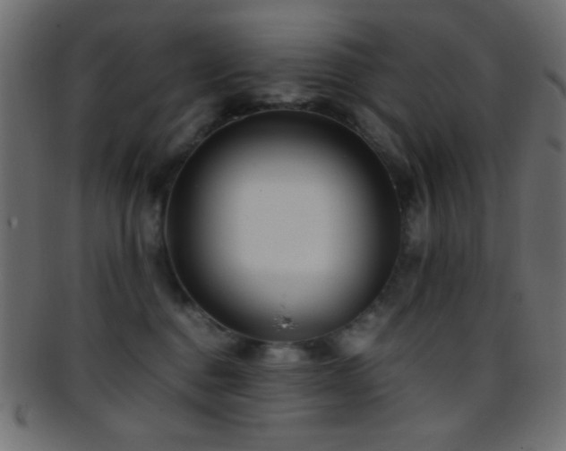 X0000095690376200801081253