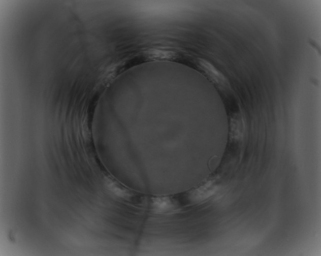 X0000095690377200801081253