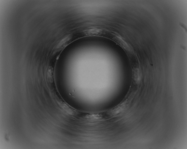 X0000095690378200801081253