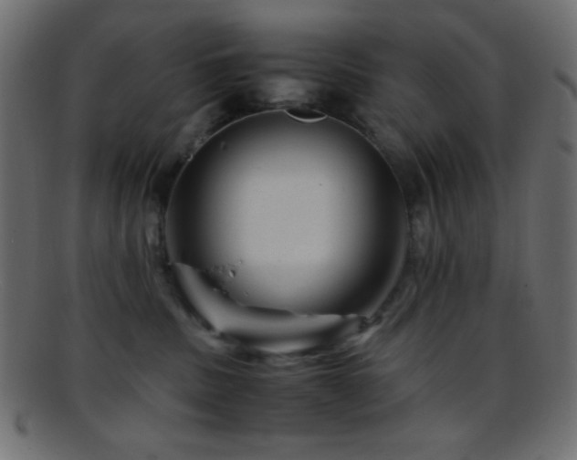 X0000095690379200801081253