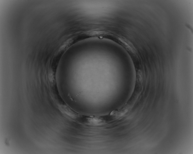 X0000095690380200801081253