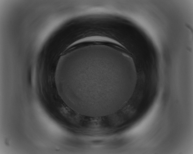X0000095690382200801081253