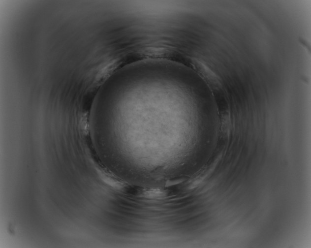 X0000095690383200801081253