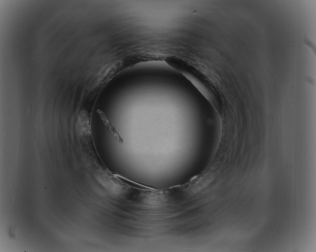 X0000095690384200801081253