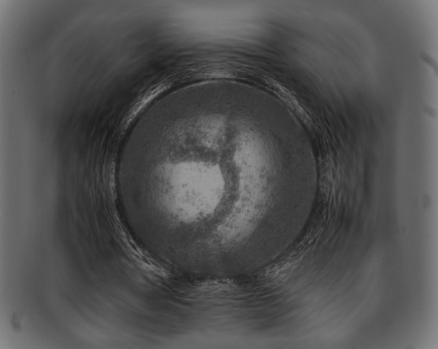 X0000095690386200801081252