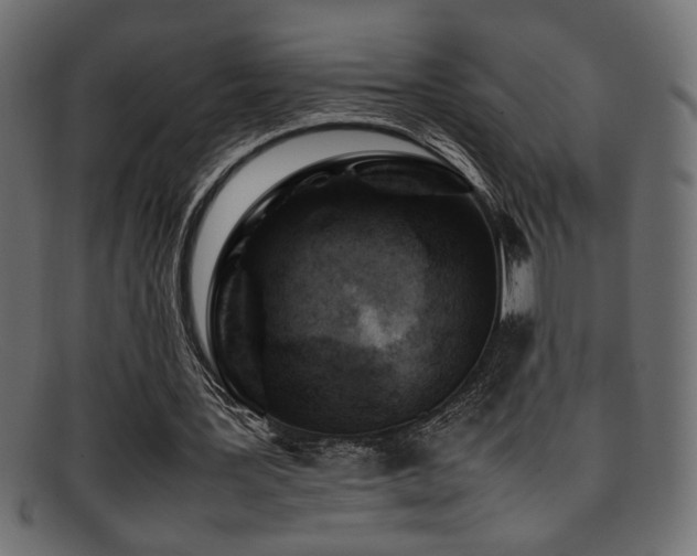 X0000095690387200801081252
