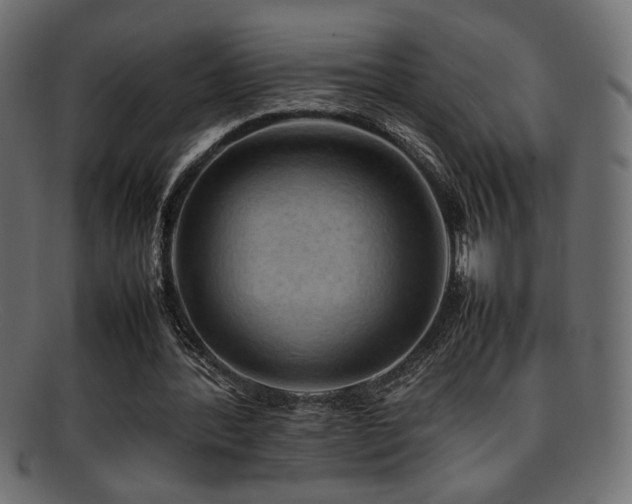 X0000095690388200801081252