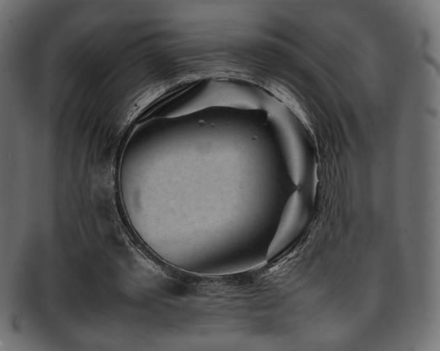 X0000095690389200801081252