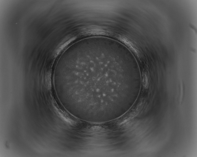 X0000095690390200801081252
