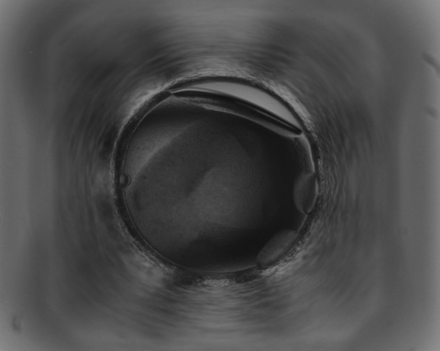 X0000095690391200801081252